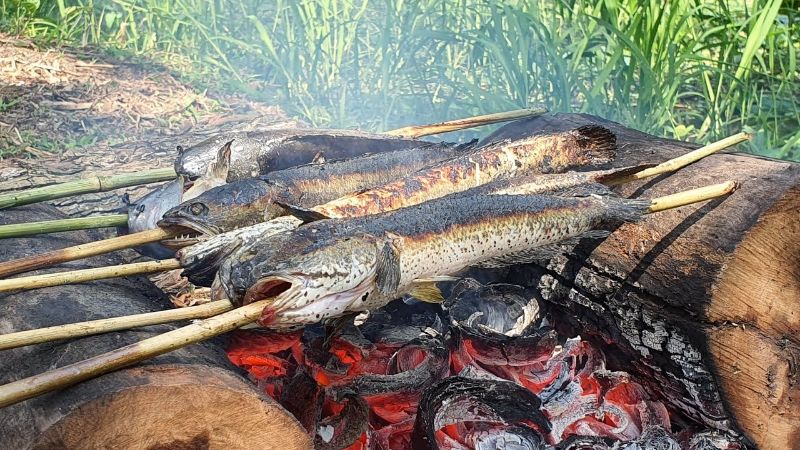 Cá lóc nướng trui 2 Cá lóc nướng trui - Món ăn dân dã đặc sản Nam Bộ
