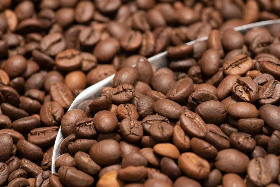 Cà phê Tây Nguyên 4 Cà phê Tây Nguyên