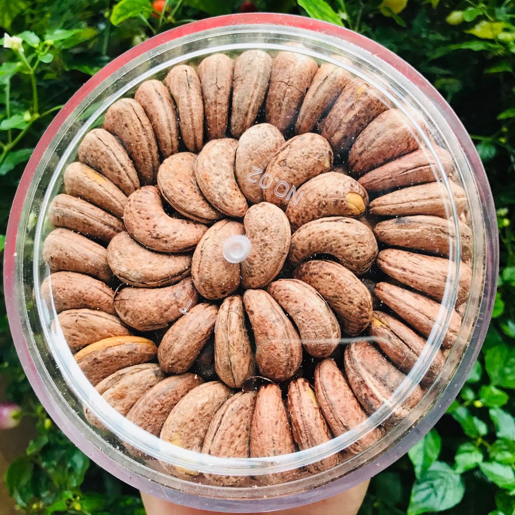 Hạt Điều Rang Muối Tây Nguyên