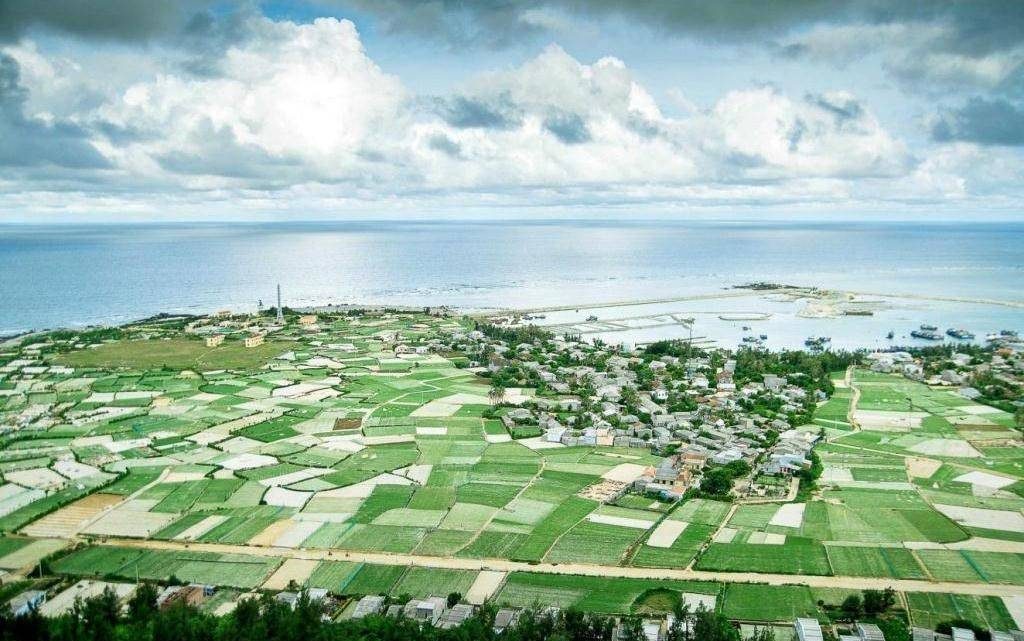 Tỏi Lý Sơn Quảng Ngãi 5 ly son quang ngai e1702908420803