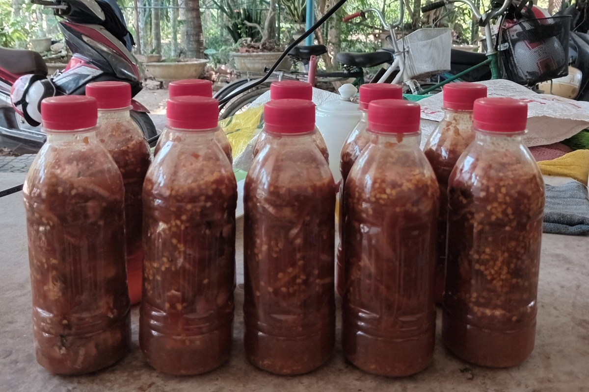 mắm cá cơm bình định 4 mắm cá cơm bình định